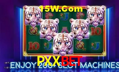Sistemas de Segurança PXXbet