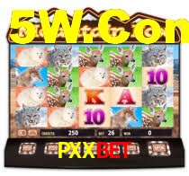 PXXbet Com